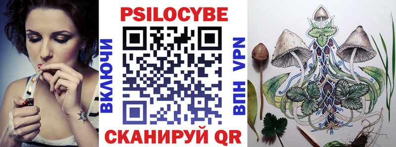 Псилоцибиновые грибы Cubensis  где продают наркотики  Энгельс 